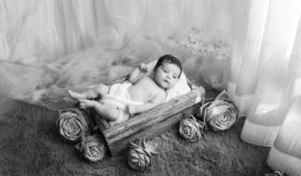 new born (21)